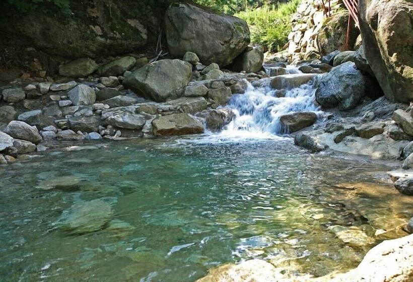 Ravie Pension
