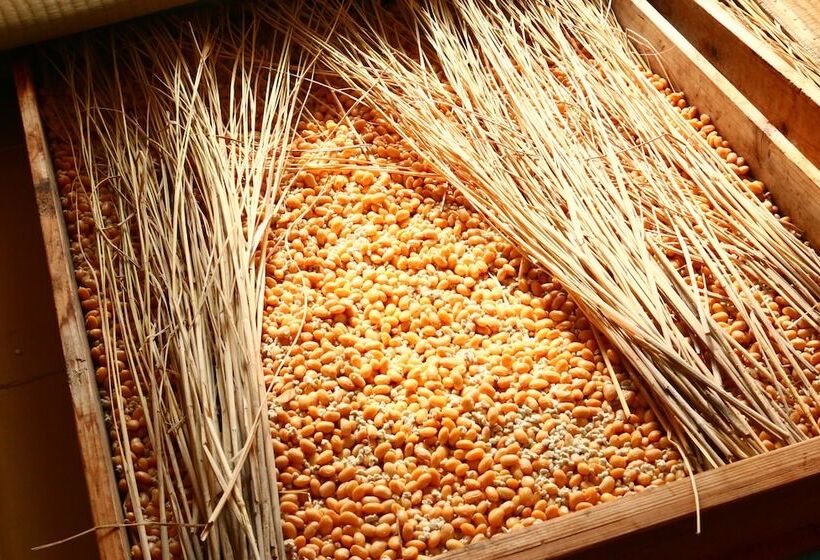 ريوكان Natoriya