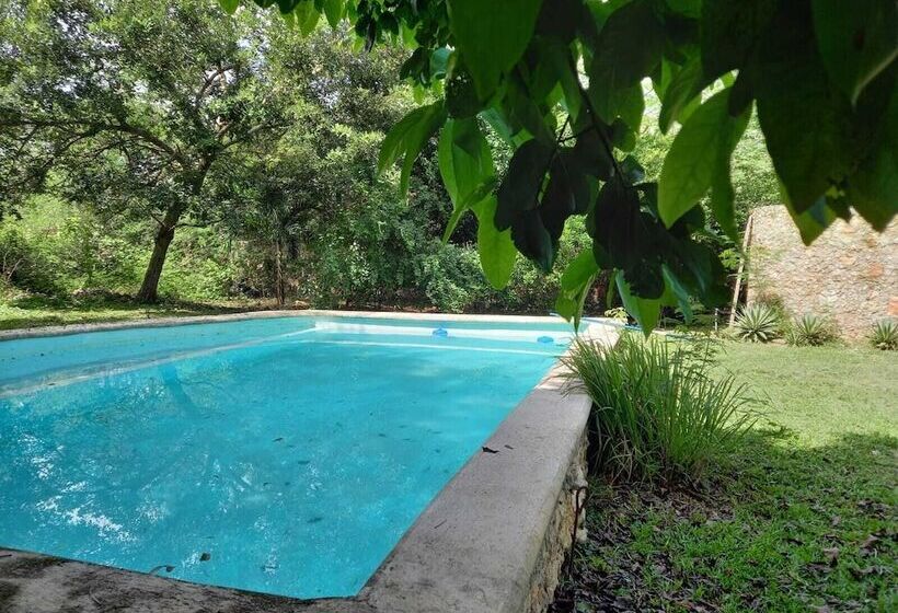 مبيت وإفطار Casa Viva Mérida