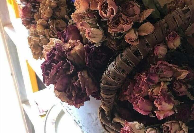 مبيت وإفطار Mi Casa Es Tu Casa Inn