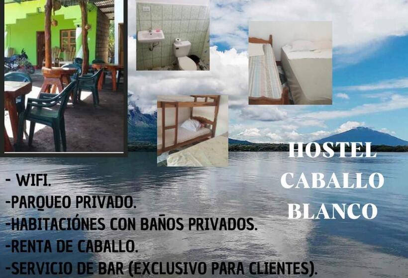 Hostal  Caballo Blanco