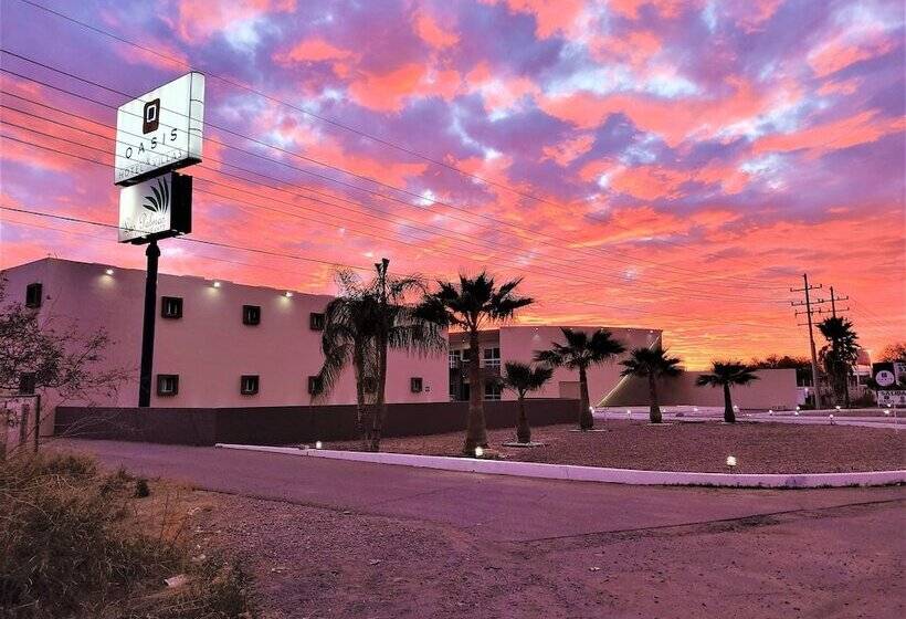 فندق Oasis