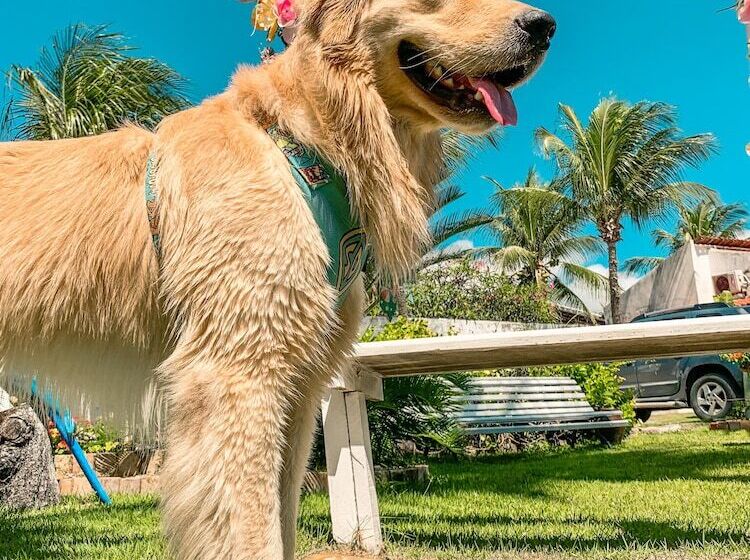 هتل Pousada La Goduria