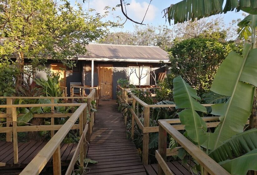 فندق Tuava Lodge