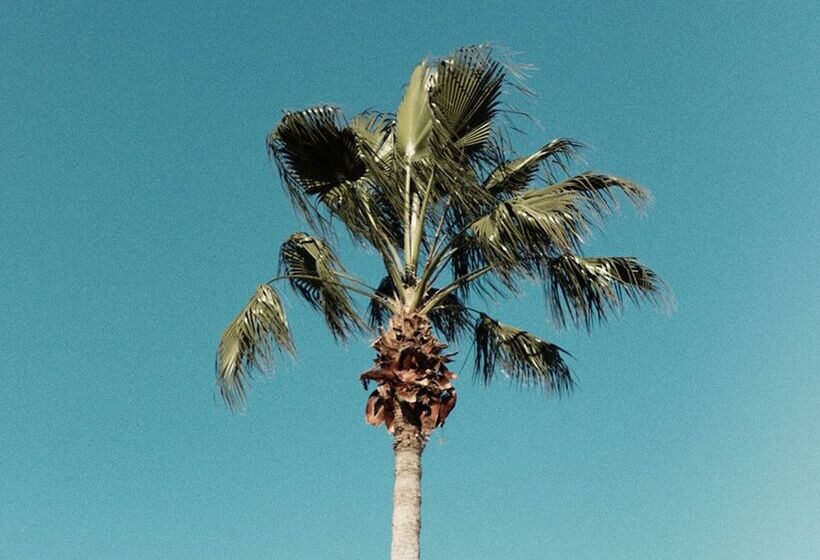 Luxury Villa On Reunion Resort And Spa With A Private Pool, Orlando Mansion 1350