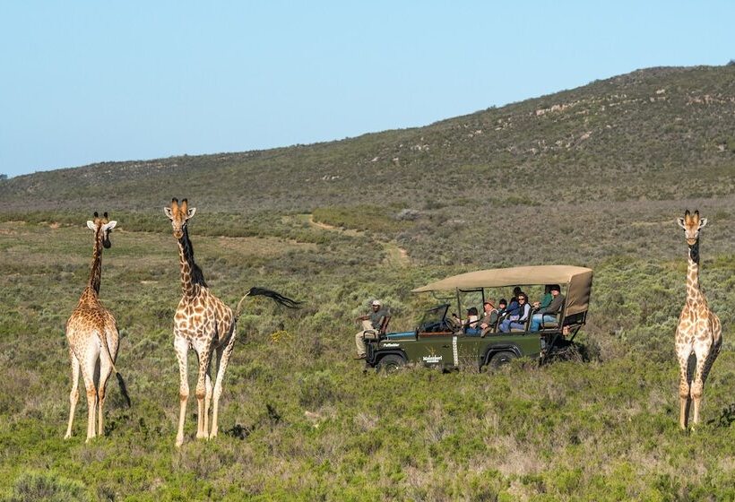 Melozhori Game Reserve