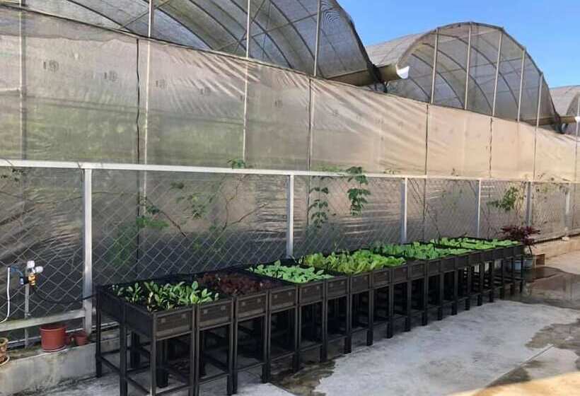 پانسیون 日月潭 讀好民宿 Read Nice House B&b