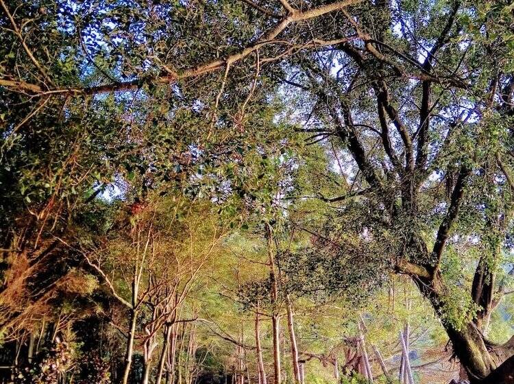 پانسیون 日月潭 讀好民宿 Read Nice House B&b