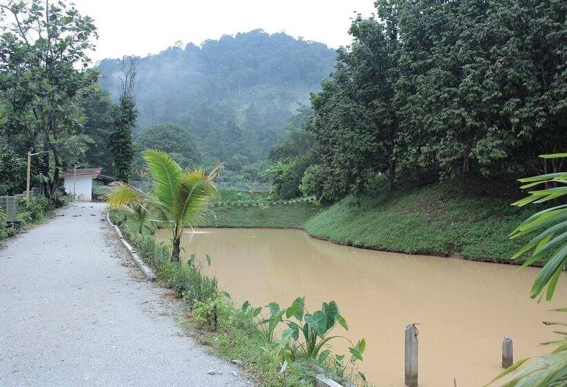 بنسيون Tokwan S Agro Village