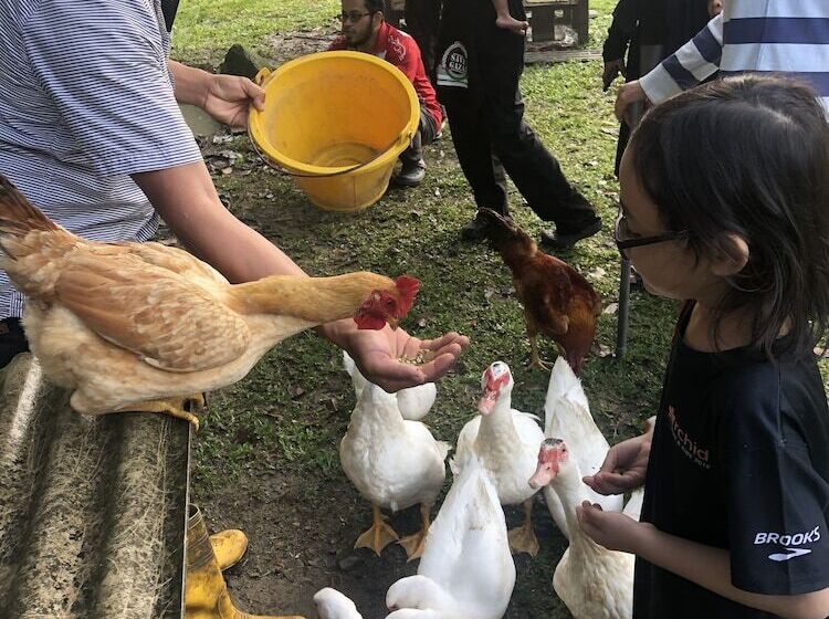 بنسيون Tokwan S Agro Village