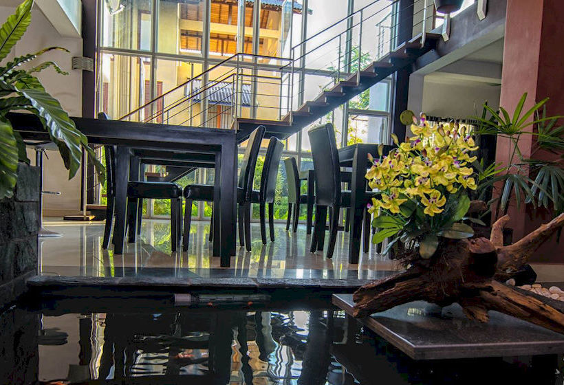 住宿加早餐  Amali Residence