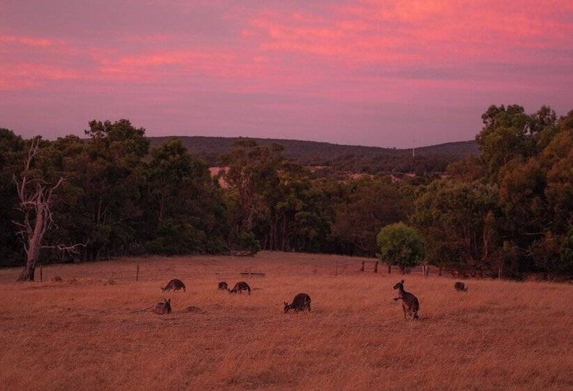 فندق Wildwood Valley