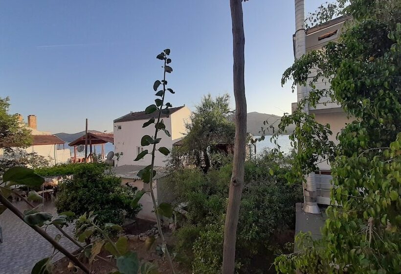 Buena Vista Hotel & Restaurant