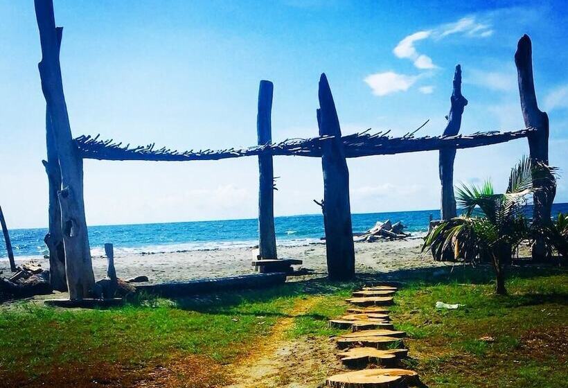 Хостел Criollo Beach Camp
