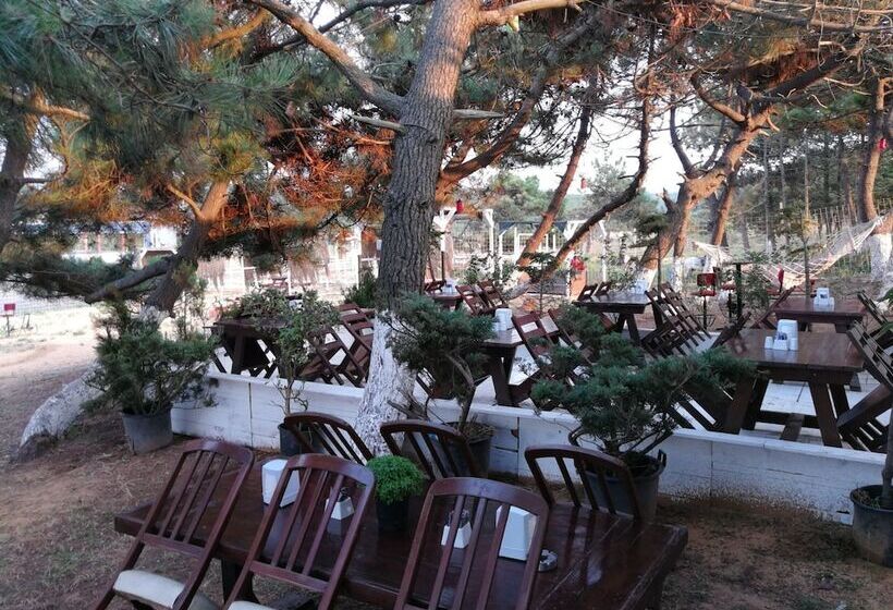 ホテル Atlitur Gumusdere Beach Camp
