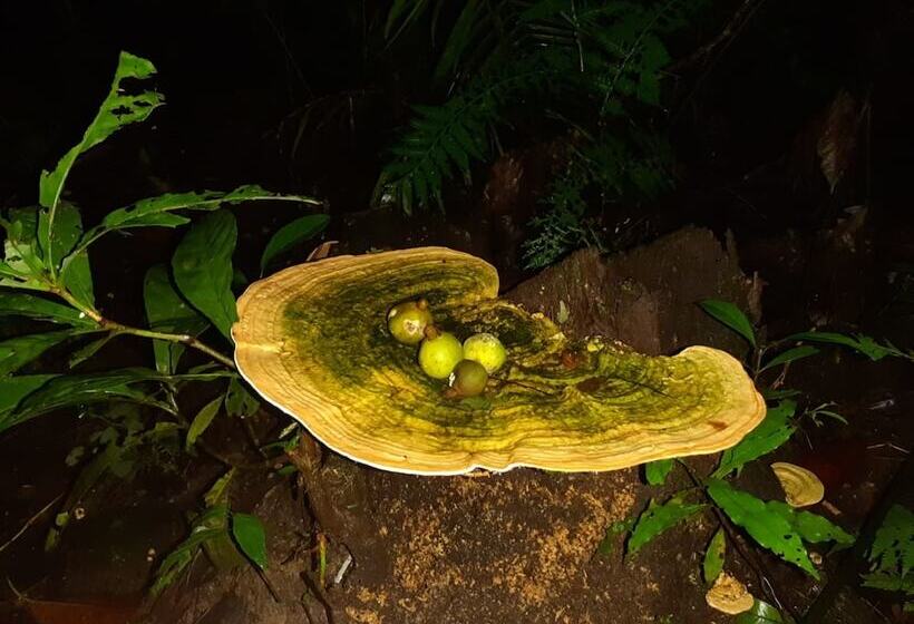 هتل Refugio Turistico Maiku