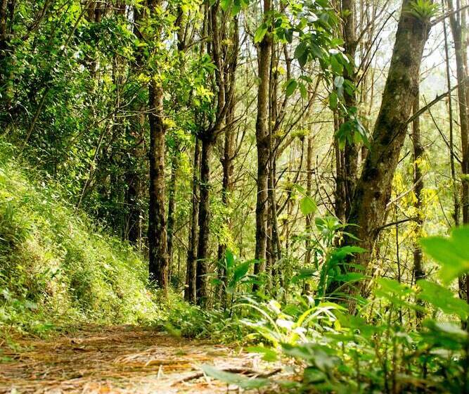 هتل Ulbilla Hostería