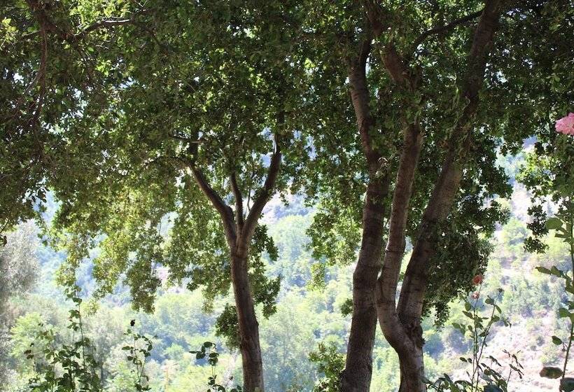 پانسیون Beit El Deek