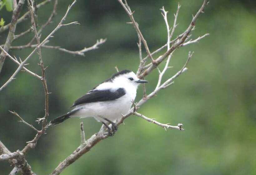 پانسیون Guesthouse La Ressource