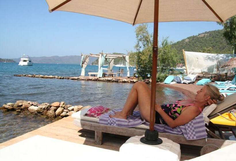 膳宿费 Sakin Vadi Winehouse