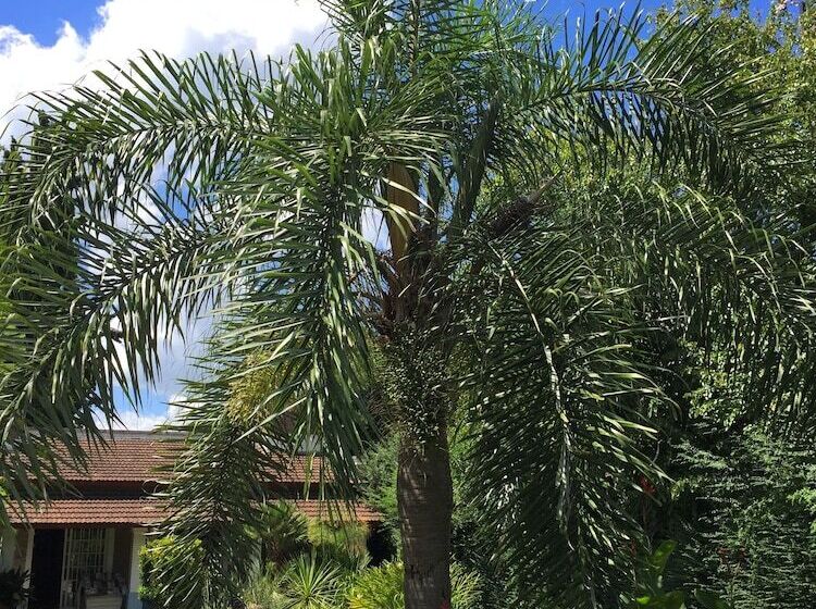 بنسيون Casa De La Visitación