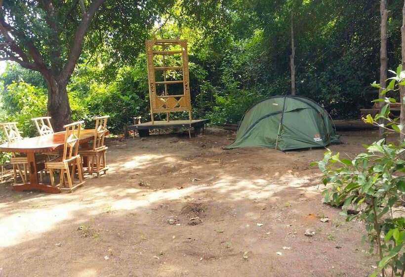 住宿加早餐  Selous Adili Forest Camp