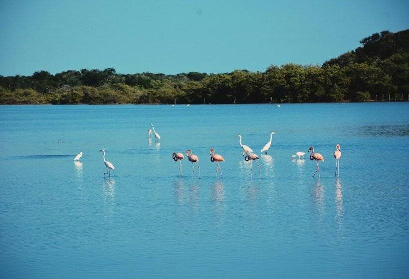 هتل Awatawaa Ecolodge