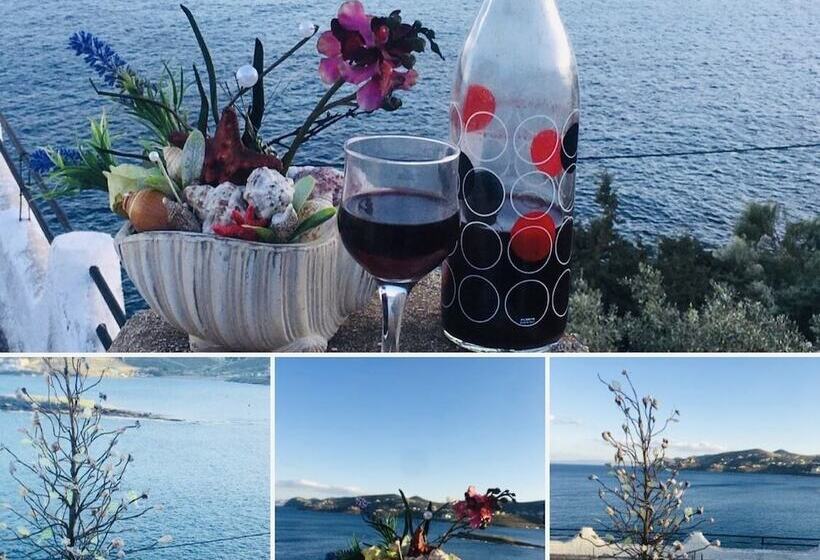 בית מלון כפרי Daskalio Resort Adamis