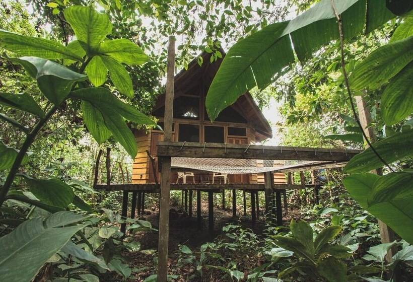 فندق La Manigua Lodge
