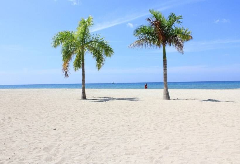 酒店 Laiya White Cove Beach Resort