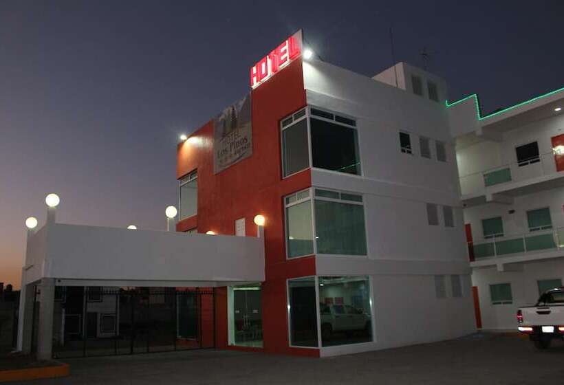 فندق Los Pinos Express