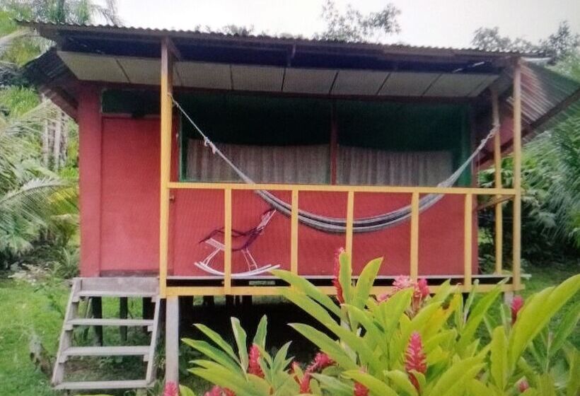 酒店 Macaw Jungle Expeditions