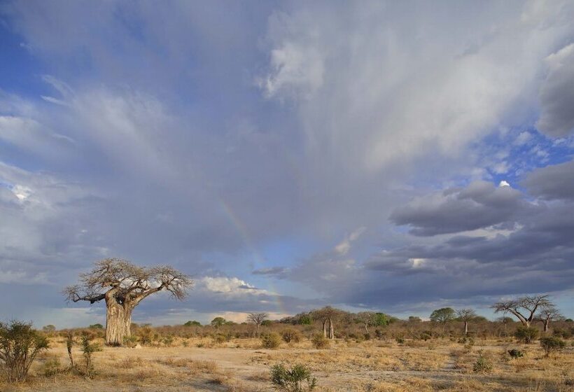 ホテル Ruaha Dream Villa