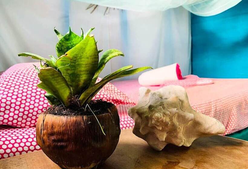 Macao Beach Hostel