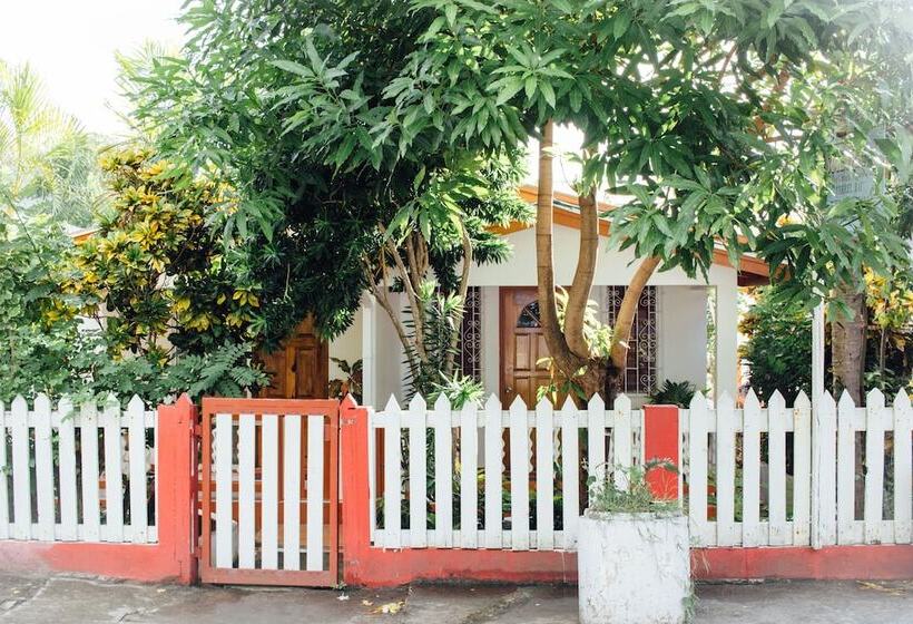Scraper S Guest House