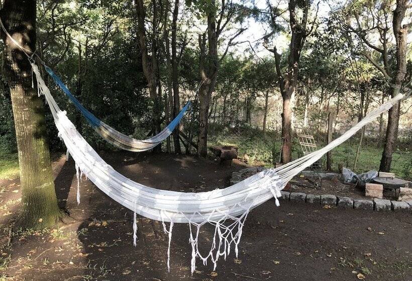 צימר Lo Del Colo