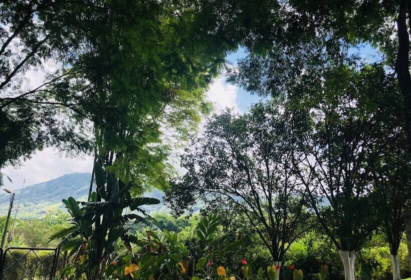 هتل Entre Los Arboles