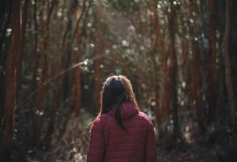 בית מלון כפרי Hostal Casa Bosque