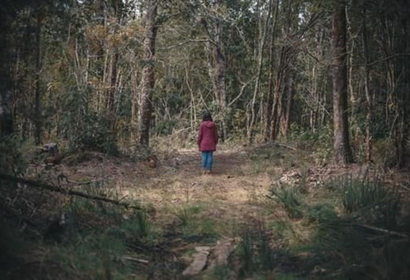 בית מלון כפרי Hostal Casa Bosque