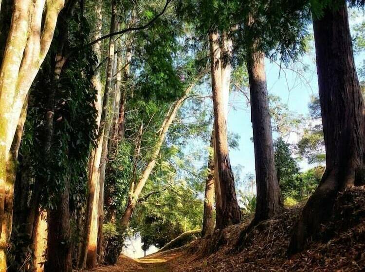 هتل Pueblito Cafetero