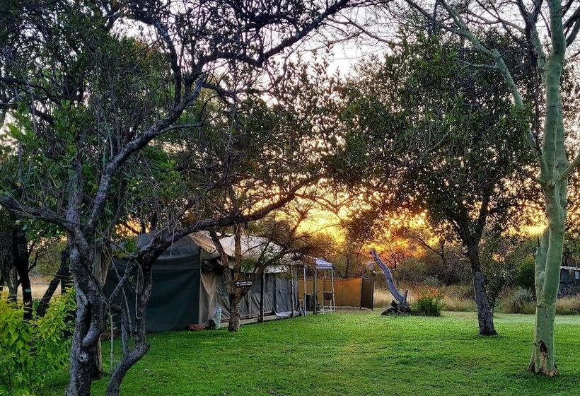 בית מלון כפרי Thorn Tree Bush Camp