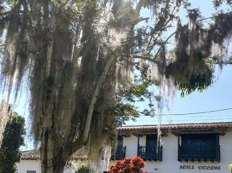 پانسیون Vizcaya Plaza Curití