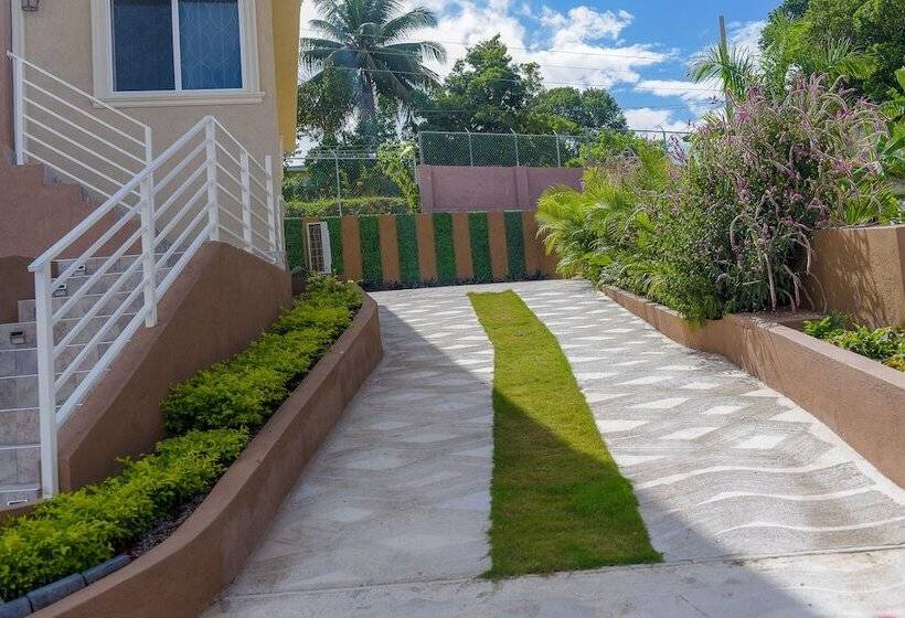 Tropical Luxury Dreams
