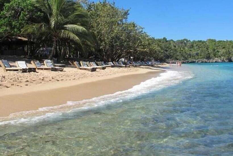 Tropical Luxury Dreams