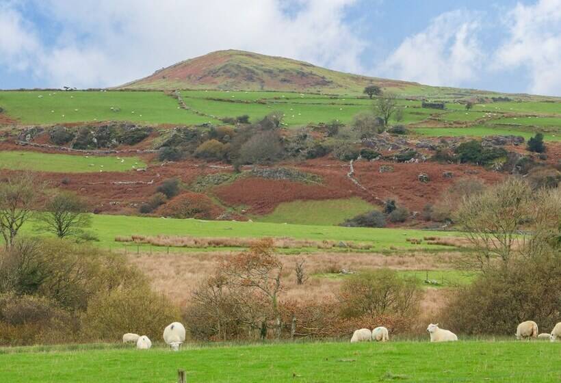 Cefn Yr Efail