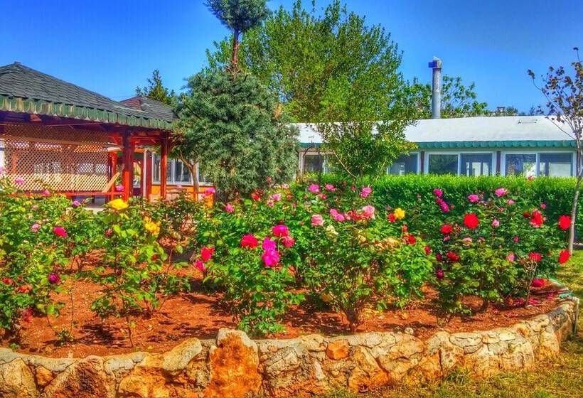 فندق Altinkum Tatil Koyu