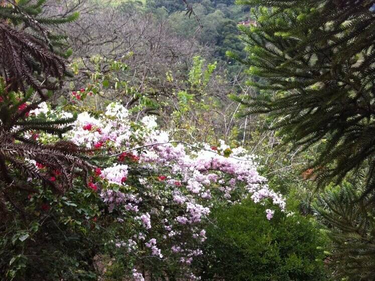 فندق Casa Fazenda Inglesa