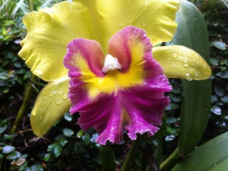 فندق Casa Fazenda Inglesa