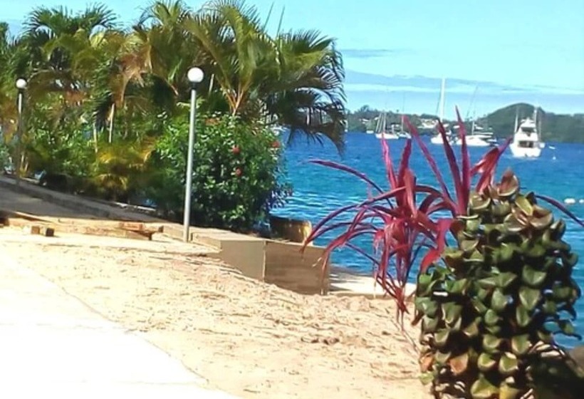 Otel Puataukanave International