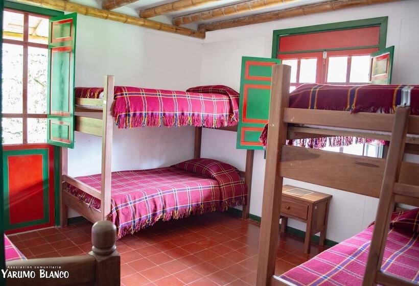 ホテル Santuario De Fauna Y Flora Otún Quimbaya